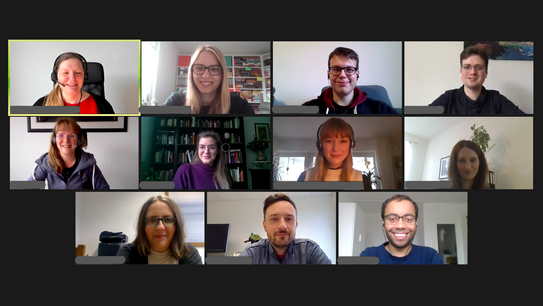 Screenshot eines Online-Stimmseminars